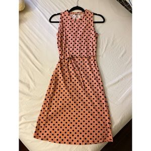 Zara Polka Dot Dress